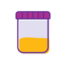 Illustrated image urine
